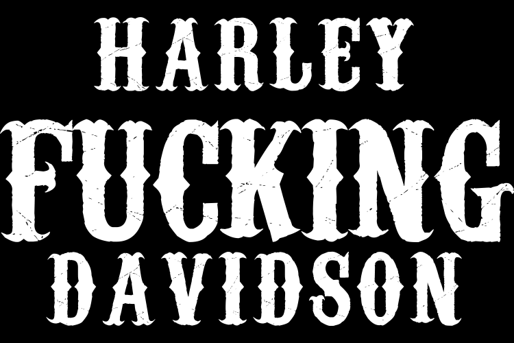 Harley Fucking Davidson Hoodie