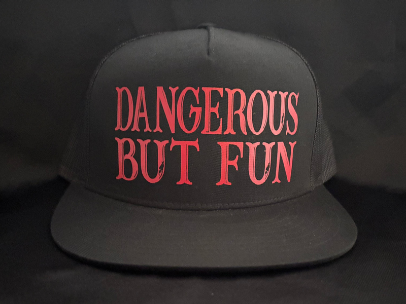 Dangerous But Fun Hat