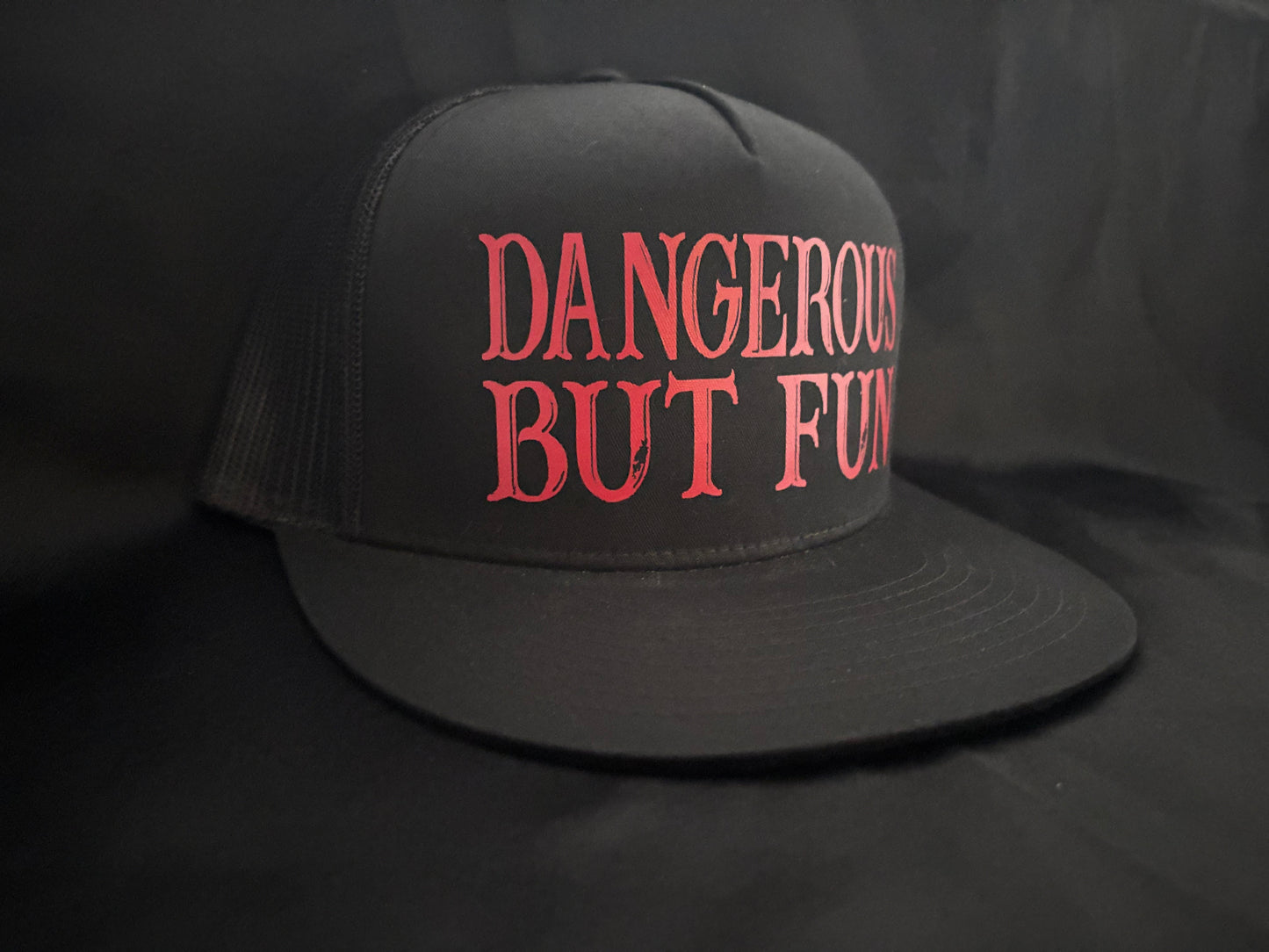 Dangerous But Fun Hat