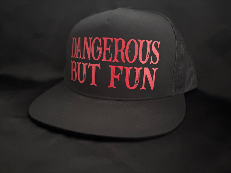 Dangerous But Fun Hat