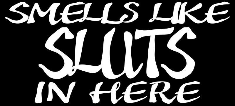 Smells Like Sluts In Here T-Shirt